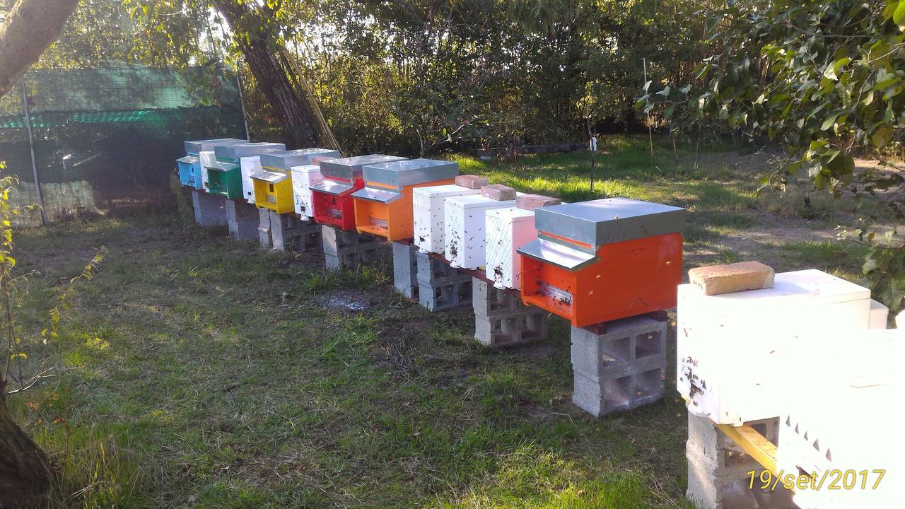 L'Ape In Corte Casa Di Campagna, Via Francigena Stanze E Colazione Vaccarizza Exterior foto
