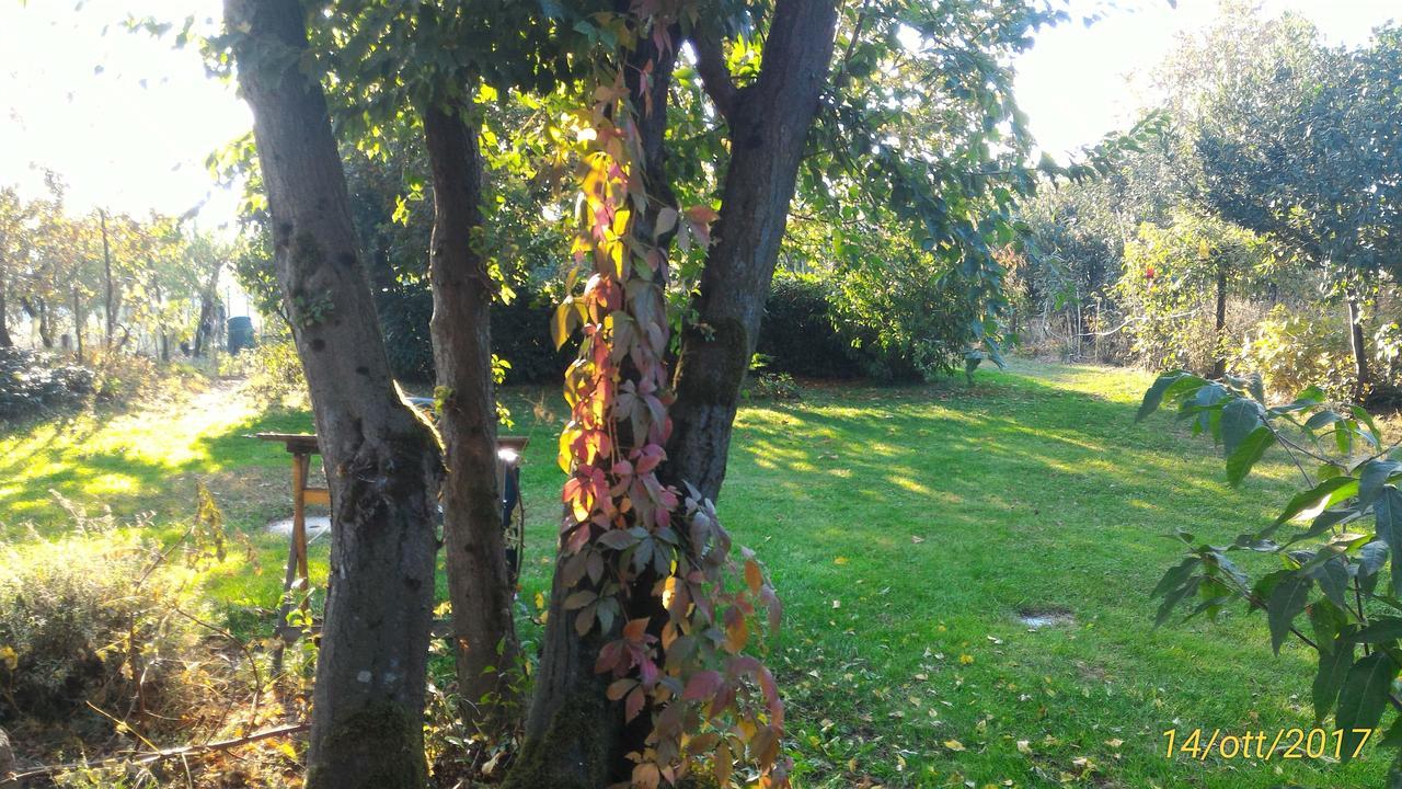 L'Ape In Corte Casa Di Campagna, Via Francigena Stanze E Colazione Vaccarizza Exterior foto