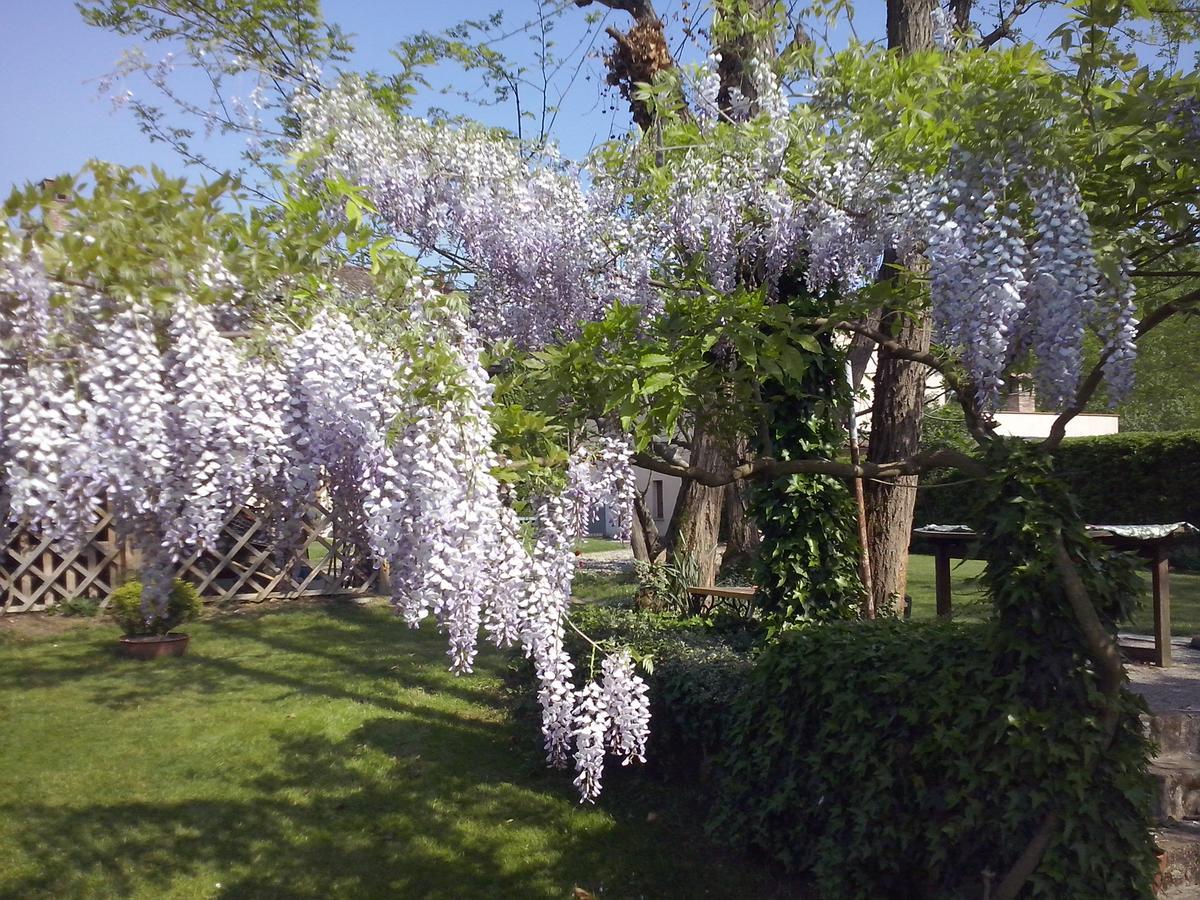 L'Ape In Corte Casa Di Campagna, Via Francigena Stanze E Colazione Vaccarizza Exterior foto
